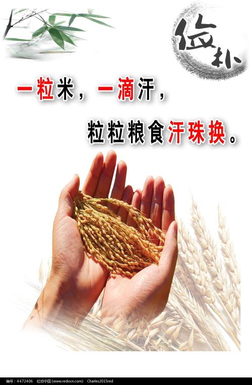 哪里能办理菲律宾身份证KYC认证资料